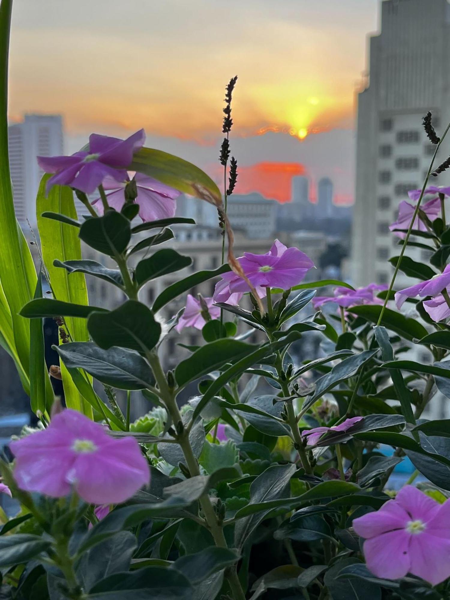 Madina Hostel