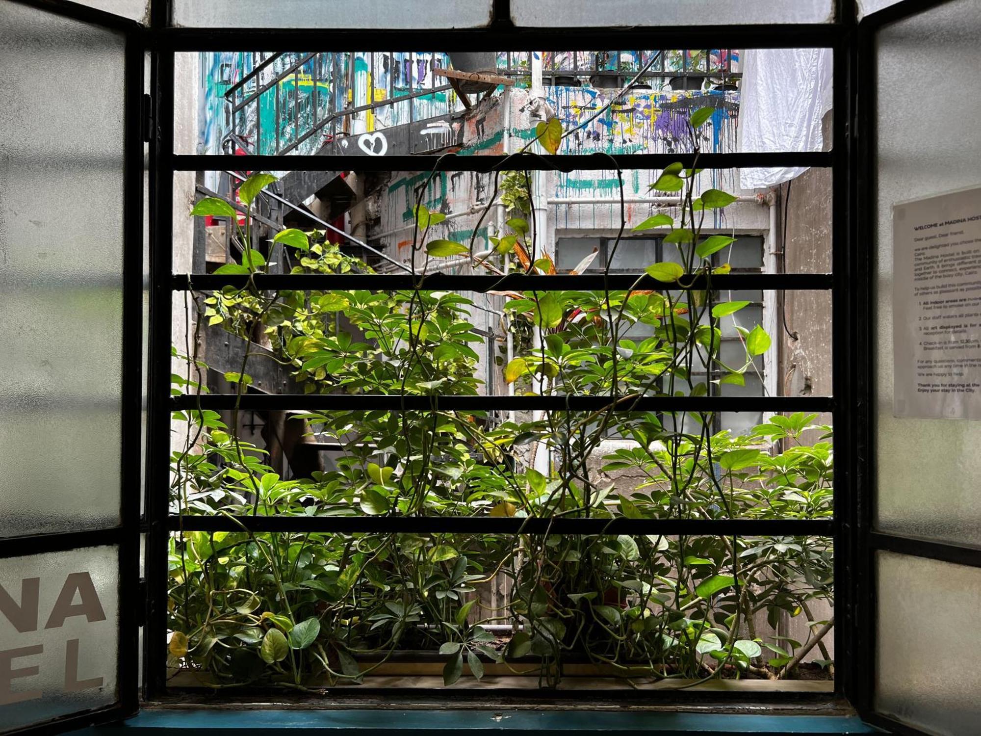 Hostel Madina